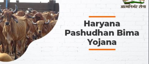 Haryana Pashudhan Bima Yojana